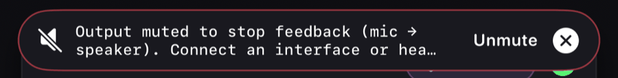 The banner: Output muted to stop feedback (mic to speaker). Connect an interface or headphones. With an Unmute button.