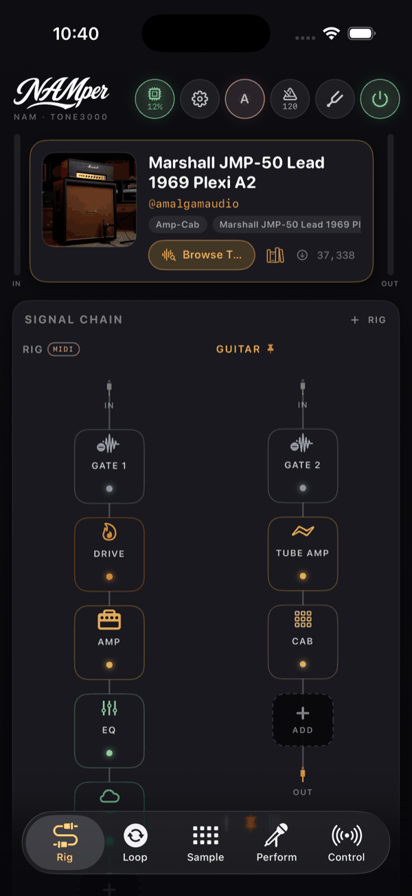 The Rig tab with two rigs stacked side by side: the first carries a MIDI badge marking it as MIDI-focused, the second is pinned so presets leave it alone.