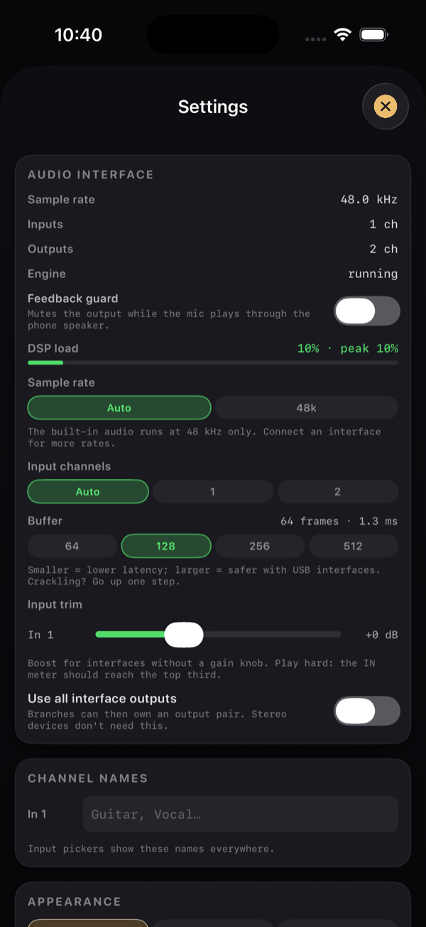 The top of the Settings sheet: the AUDIO INTERFACE card with Feedback guard switched on, the DSP load readout, the sample rate and buffer chips, the input trim slider, and the beginning of the CHANNEL NAMES card.